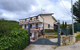 Ruggiero 
